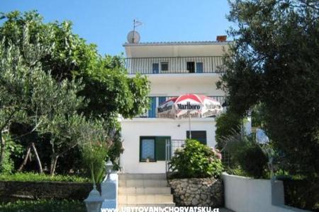 Maxi Apartment photo 3