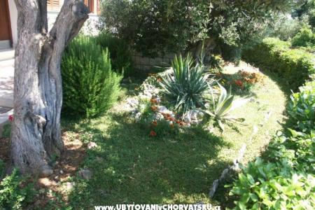 Santa Chiara Apartments photo 5