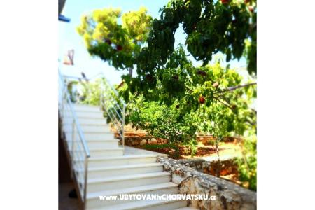 Sapa Apartment photo 4