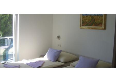 Vila Erik photo 4