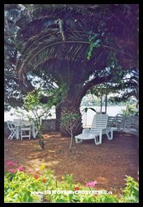 Villa Milmar photo 3