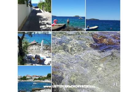 VIVA Lozica photo 4