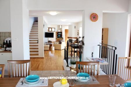 Arton Vila photo 4