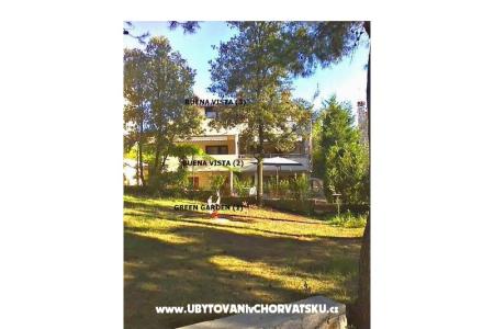 GREEN GARDEN & BUENA VISTA  photo 2