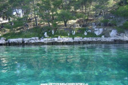 Apartments - Otok Lavdara photo 2