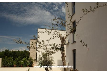 Villa Adriatic Istra photo 5