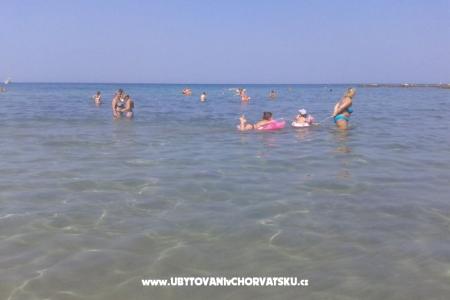 Villa Elena photo 2