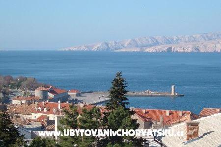CRO 1 photo 2