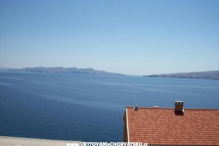 Renata photo 4