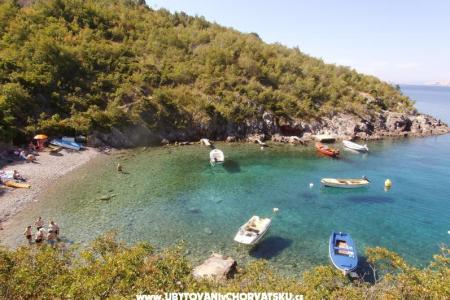 Renata photo 5