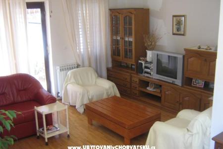 Ruzmarino photo 5