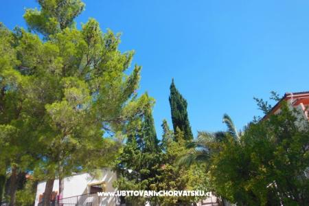 Holidayhome Oleander photo 3