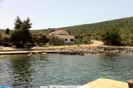 Seaview villa photo 3