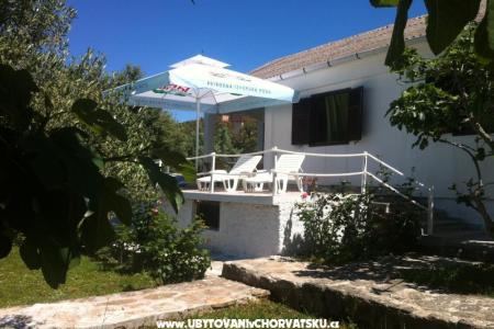 Seaview villa photo 4