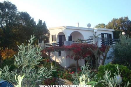 Villa Bepina Island of Solta Croatia