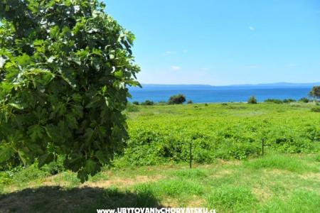 Summerhouse Belomo photo 3