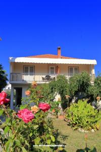 Apartments Budrak photo 3