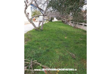 Apartments Elvis photo 5