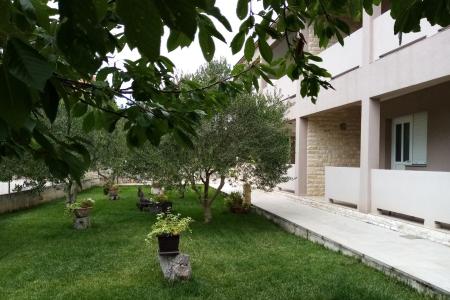 Apartments Lara photo 2