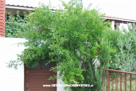 Apartment Lenka photo 5