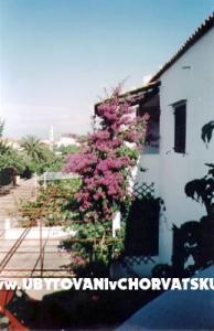 Apartments Derado photo 4