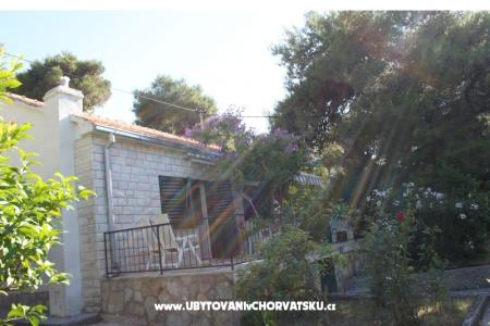 Villa Dragan photo 2