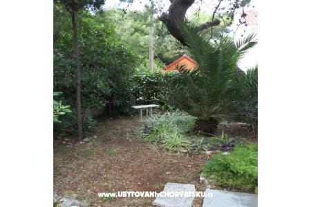 Villa Dragan photo 5