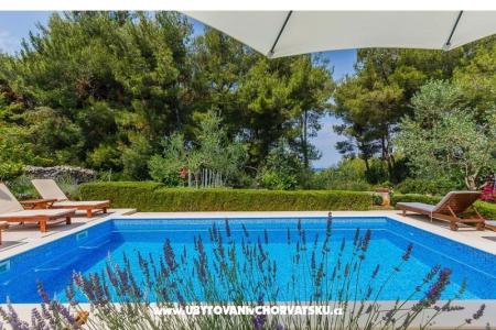 Villa Kamenica photo 4
