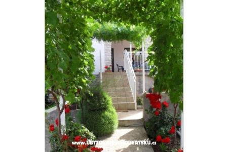 Apartments Mary photo 3