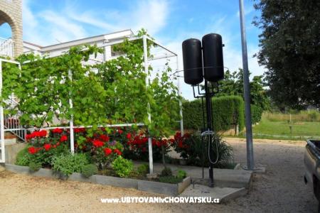 Apartments Mary photo 4