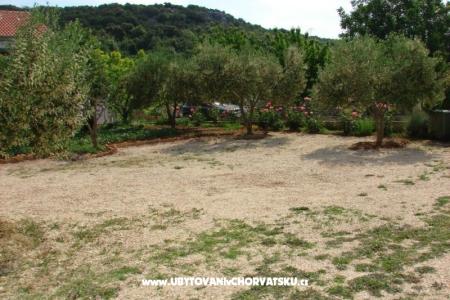 Apartmentt Anđelić photo 5