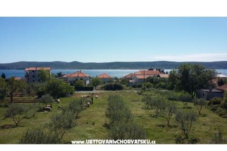 Colić Apartments  photo 2