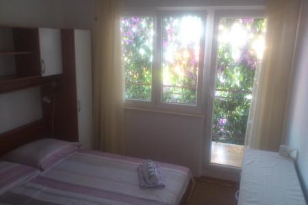 Pepica Apartments photo 3
