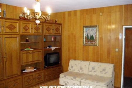 Apartment Mate photo 3