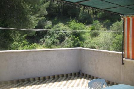 Apartments Darko photo 2
