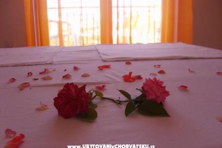 Apartments Loncar photo 2
