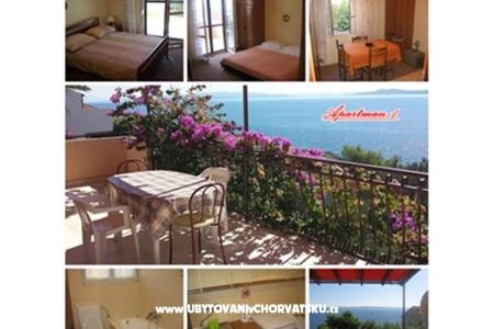 Apartments Zizic photo 4