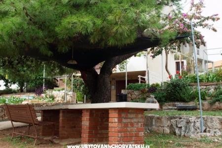 Apartments Ancora photo 5