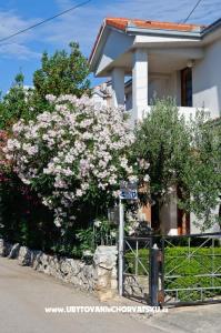 Apartments Ruža photo 2