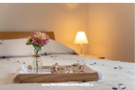 Apartments Villa Jelena photo 4