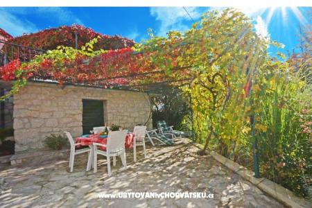 Apartmets Villa Maslina photo 2