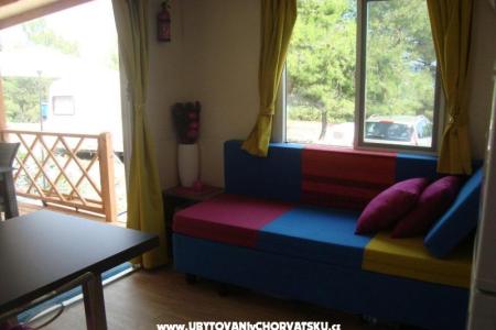  Luxury mobile homes photo 4