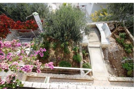 Goga Apartments photo 4