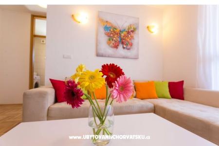 Luxury Apartment Leda  photo 4