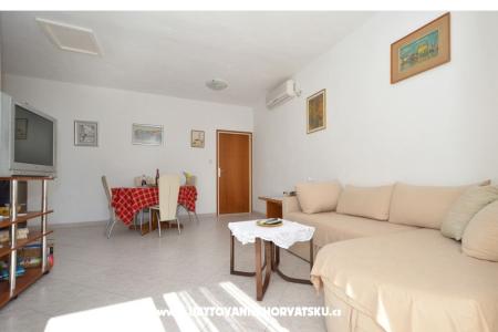 Solea photo 4