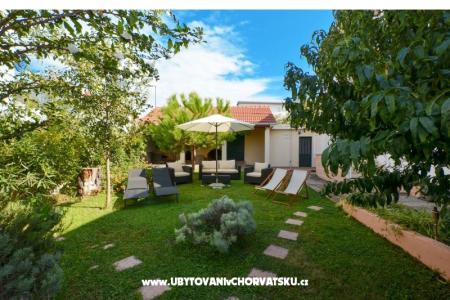 Tudija photo 5