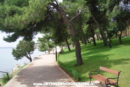 Villa Alenka photo 3