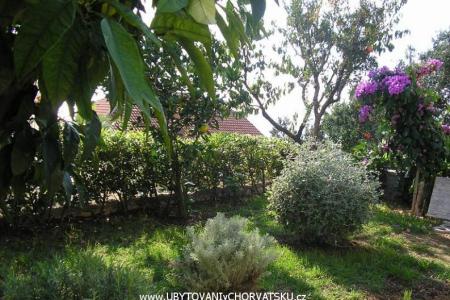 Villa Vukoja photo 3