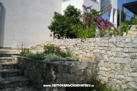 Zele Apartments photo 3