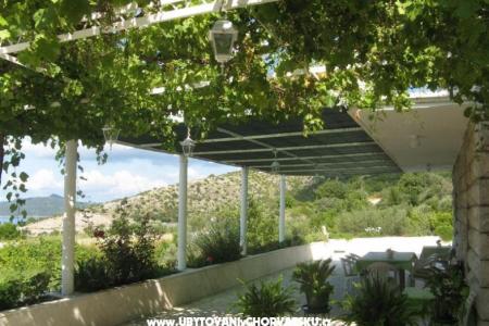 Villa Boskovic photo 3
